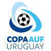 Cupa Uruguayului