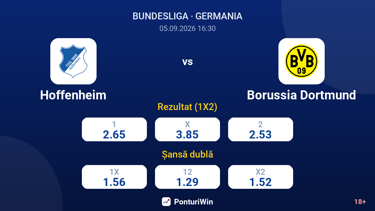 Hoffenheim vs Borussia Dortmund — cote