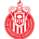 Guadalajara siglă